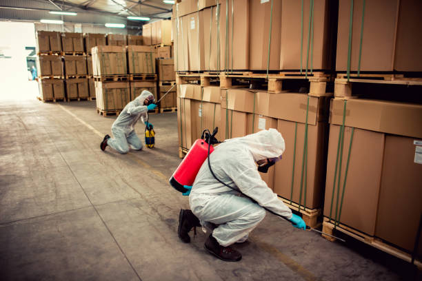 Best Emergency Pest Control  in Mountain Village, CO