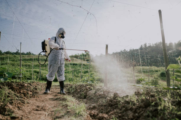 Best Local Pest Control Services  in Mountain Village, CO