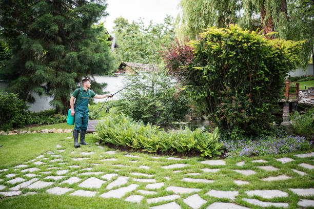 Best Best Pest Control Near Me  in Mountain Village, CO