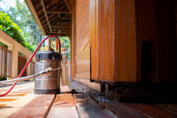 Best Exterminator Services  in Mountain Village, CO