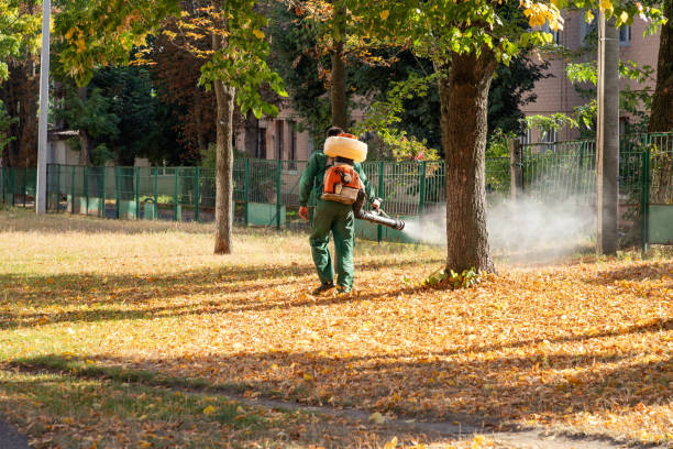 Best Residential Pest Control  in Mountain Village, CO