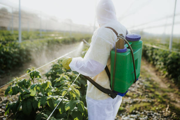 Professional Pest Control in Mountain Village, CO